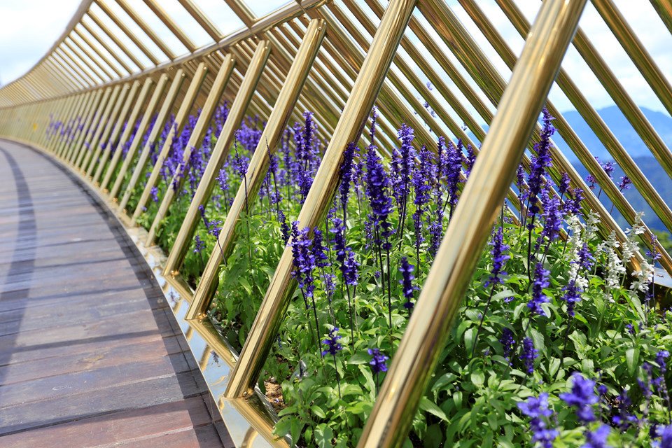 The Spaces Walk up and smell the flowers.